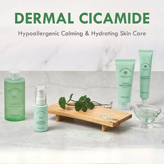 Cica Ceramide Eye Cream 40ml DERMAL