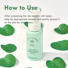 Cica Ceramide Serum 50ml DERMAL