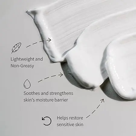 Vegan Kombucha Collagen Cream 50ml Herbloom