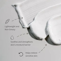 Vegan Kombucha Collagen Cream 50ml Herbloom