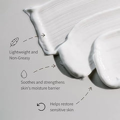 Vegan Kombucha Collagen Cream 50ml